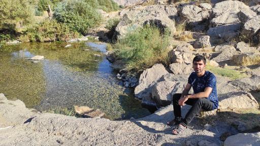 عکس کلوچه