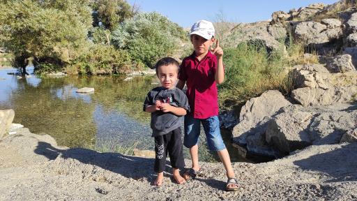 عکس کلوچه
