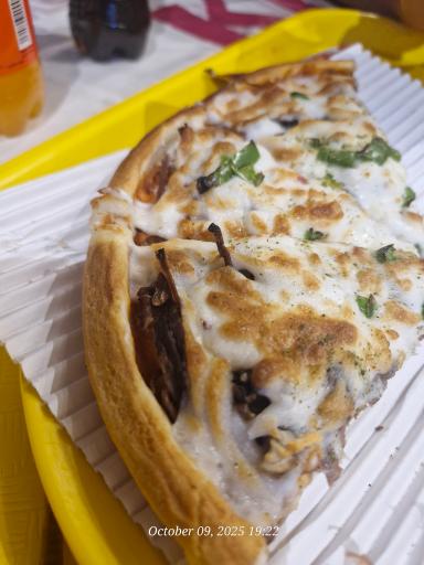 عکس کنتاکی دانشگاه 