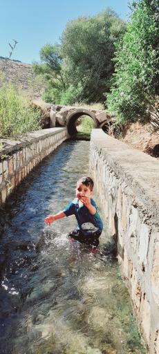 عکس کلوچه