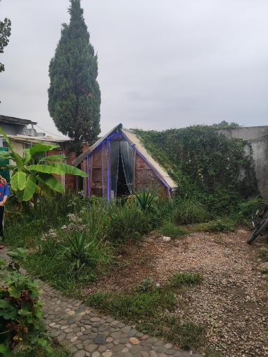 عکس رستوران بانوی تالش