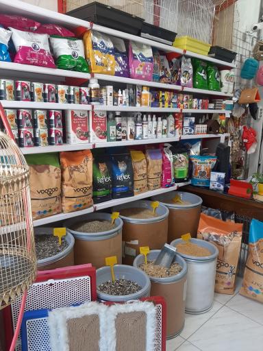 عکس پت شاپ الکاپت