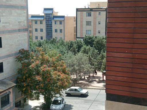 عکس پارک ارغوان