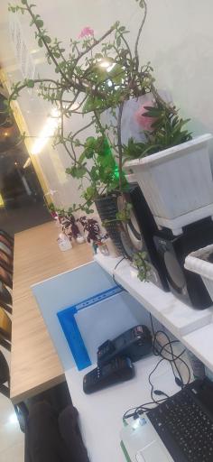 عکس غذاسرای عموجعفر