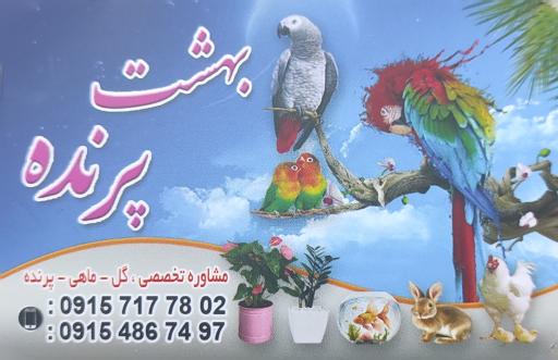 عکس بهشت پرنده