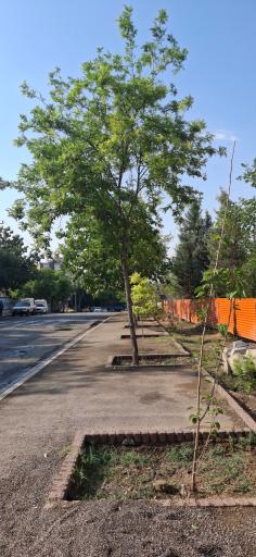 عکس  انتهای شهید قاسمی