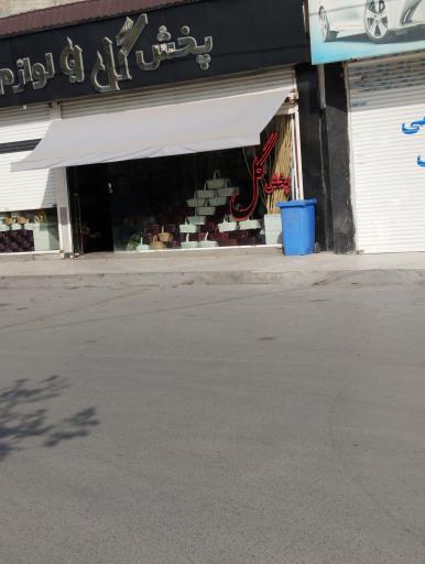 پخش گل طبیعی  ونوس