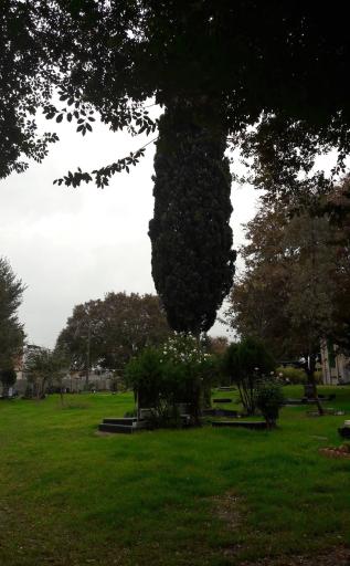 عکس امامزاده عبدالله گلچینی