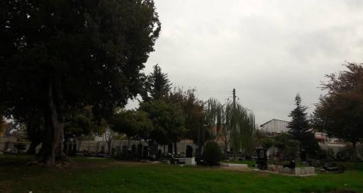 عکس امامزاده عبدالله گلچینی