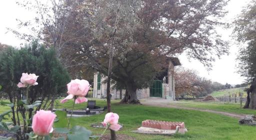 عکس امامزاده عبدالله گلچینی