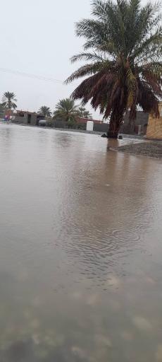 عکس سورگ آباد