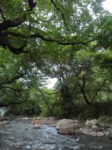 عکس رودخانه