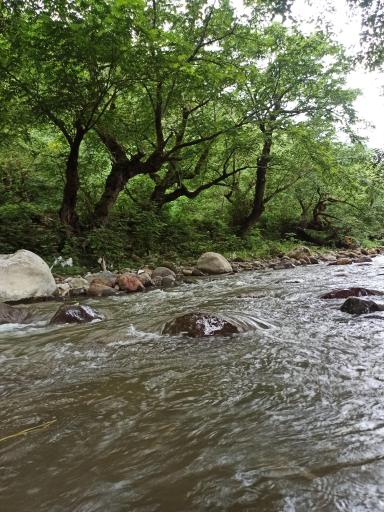 عکس رودخانه