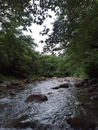 عکس رودخانه