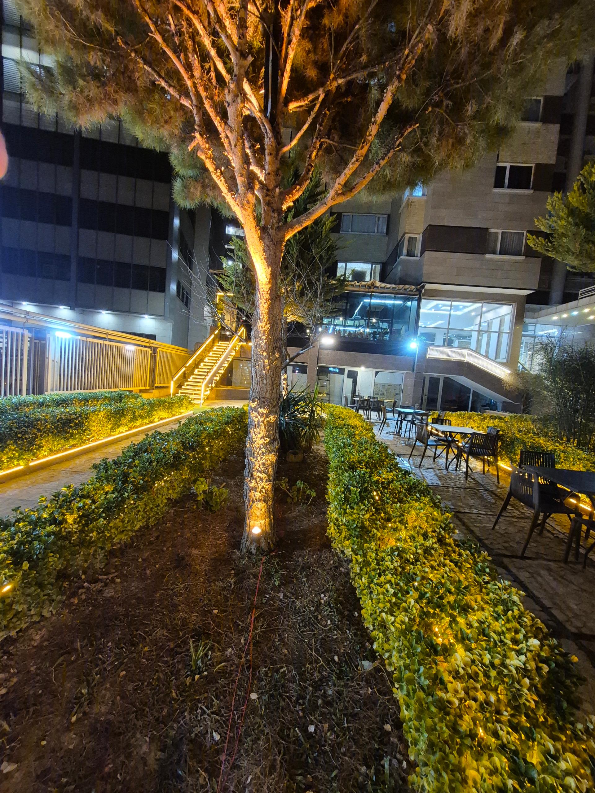 عکس فست فود بایا