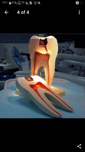 لابراتوار تخصصی دندانسازی بهرامیBAHRAMI DENTAL LAB