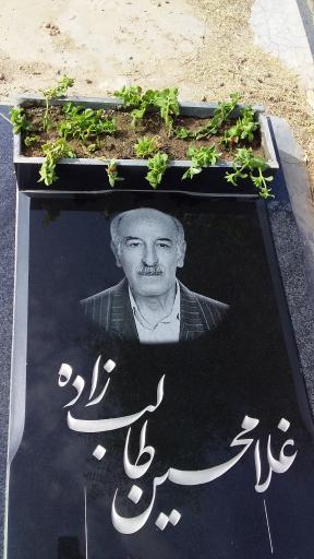 عکس ارامگاه مرحوم غلامحسین طالب زاده
