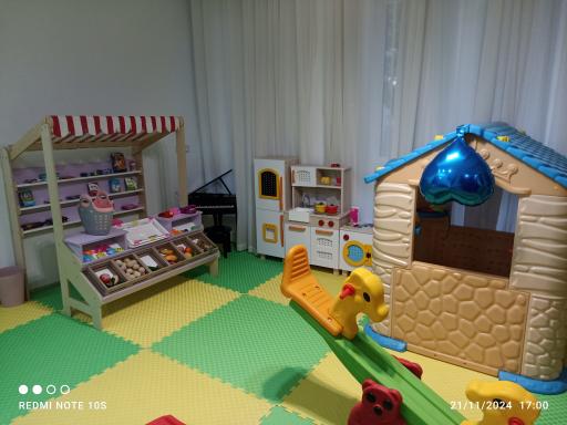 عکس خانه بازی بچه رئیس 