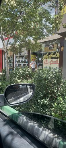 عکس پلاسکو نگار