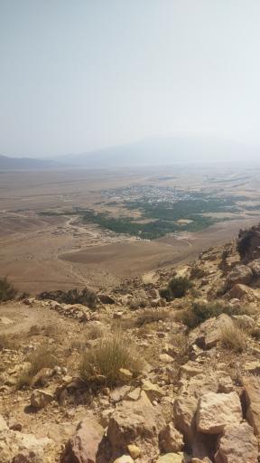 عکس شوقان