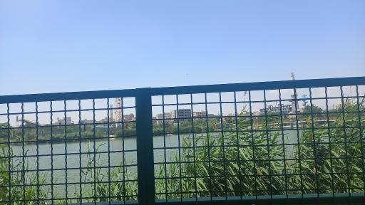 عکس بوستان رازی