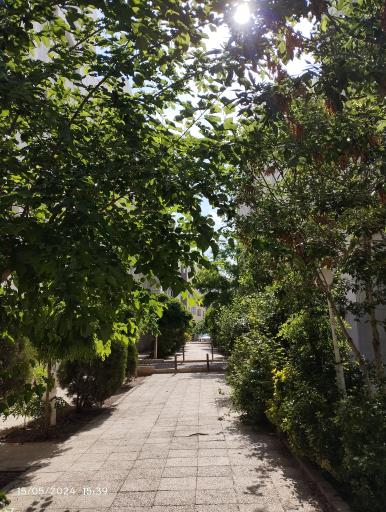 عکس مجتمع یاس