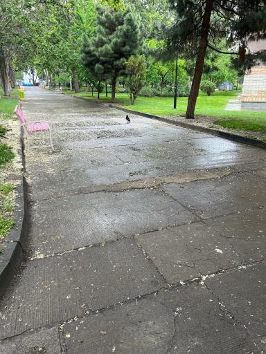 عکس بوستان ششصد دستگاه