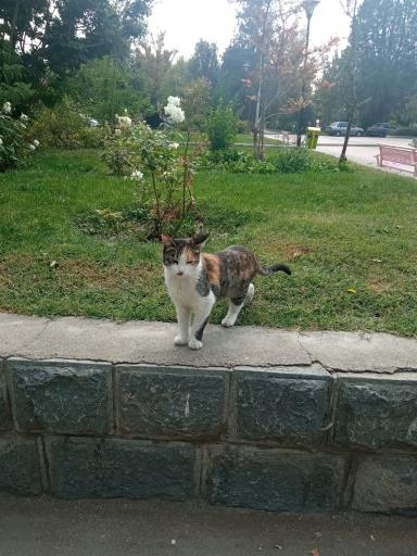 عکس بوستان ششصد دستگاه