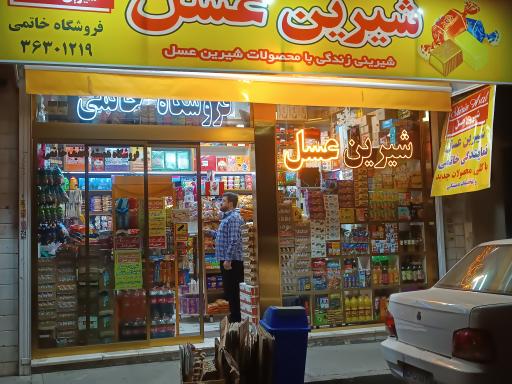 عکس نمایندگی شیرین عسل خاتمی