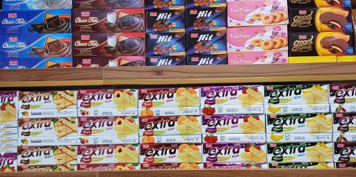 عکس نمایندگی شیرین عسل خاتمی