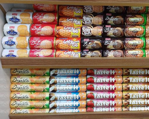 عکس نمایندگی شیرین عسل خاتمی