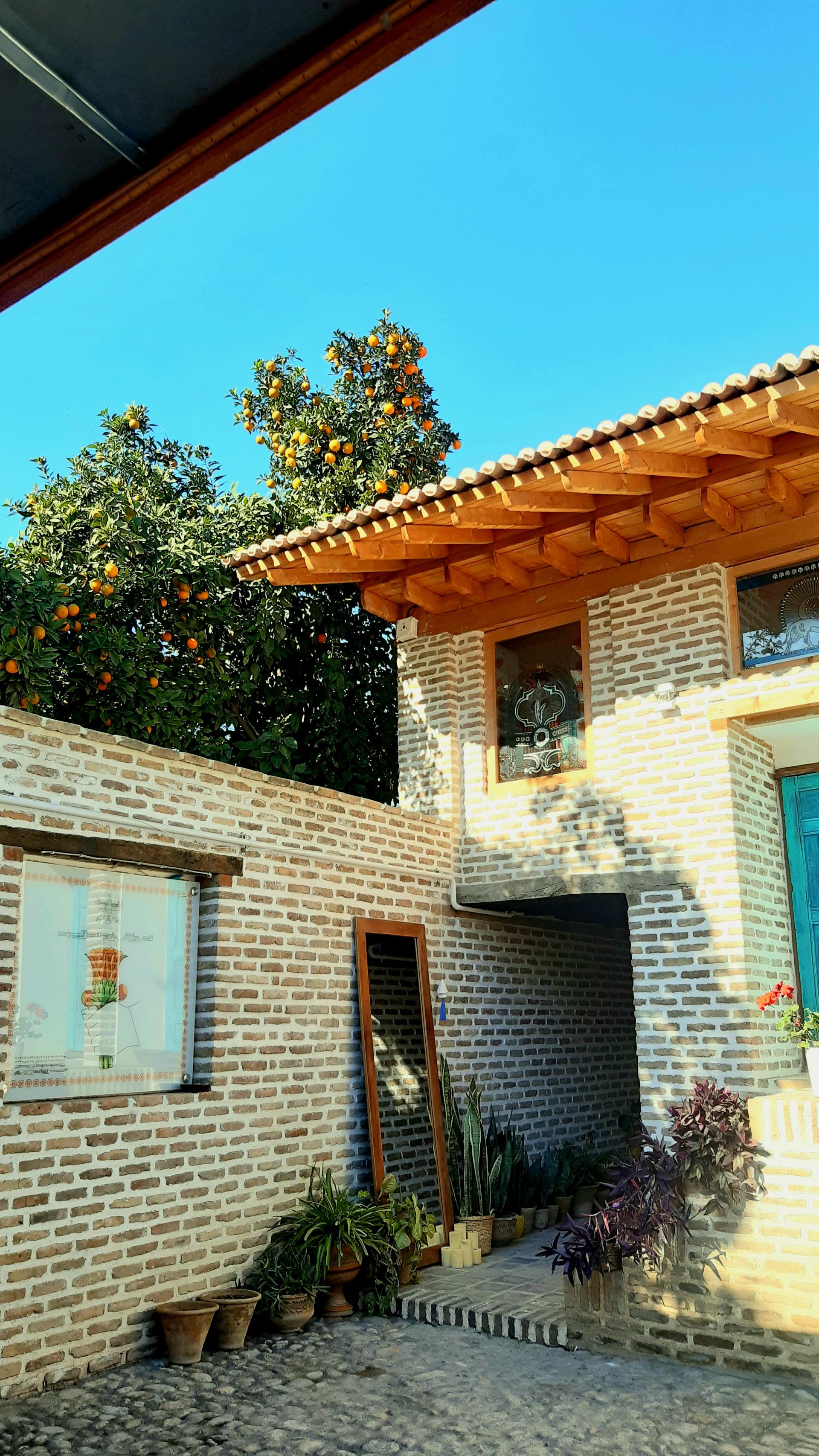 عکس فرداد کاخ زیبا