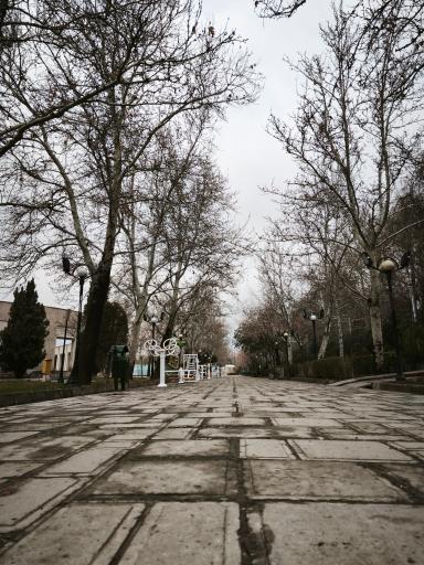 عکس بوستان رازی