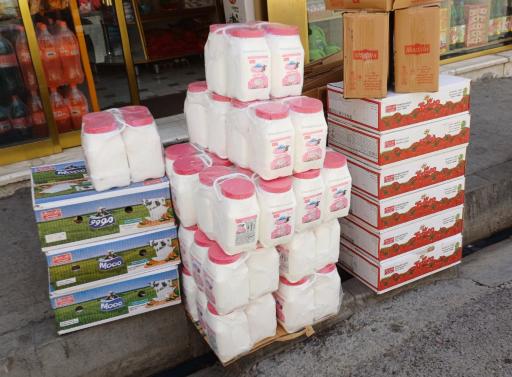 عکس نمایندگی شیرین عسل خاتمی