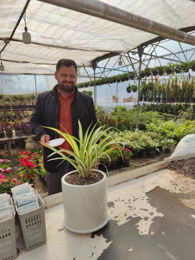 عکس گلخانه کوچه باغ