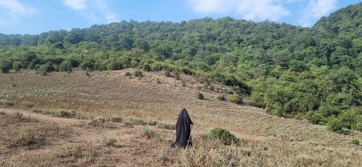 عکس دشت اول الیمستان