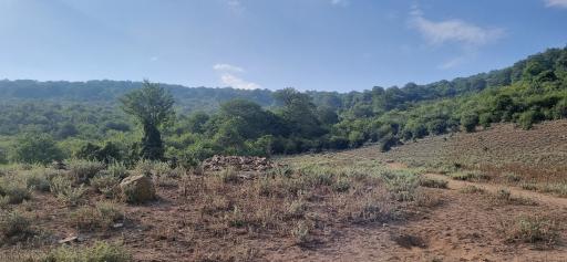 عکس دشت اول الیمستان