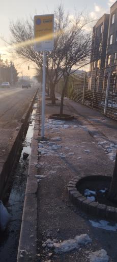 عکس  شهید سلیمی 12