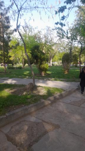 عکس بوستان ششصد دستگاه