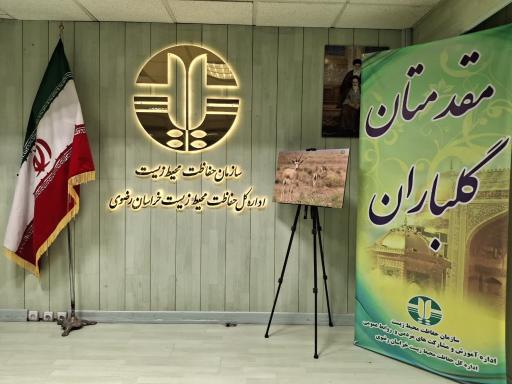 عکس دبیرستان شهیدان سماعی یکتا