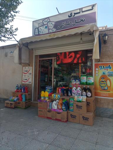 عکس گالری نخل طلایی