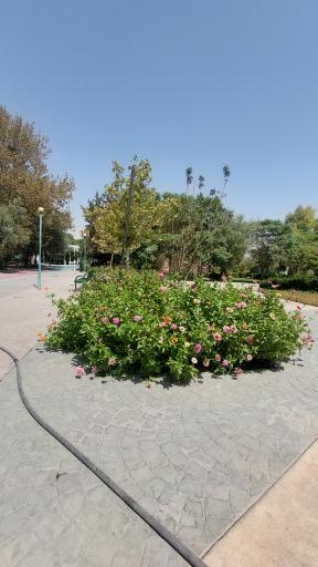 عکس بوستان رازی