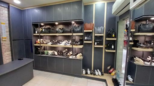 عکس کیف و کفش نیلا