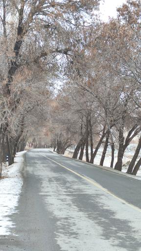 عکس گذرگاه مرزی رازی