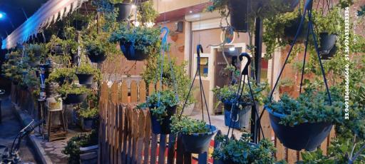 عکس سفره خانه سنتی منقل چی