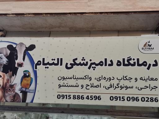 کلینیک دامپزشکی التیام