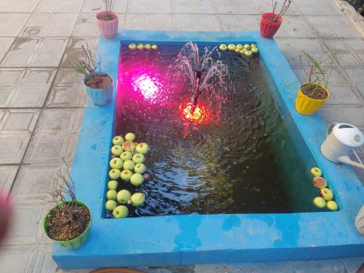 عکس کافه جغد