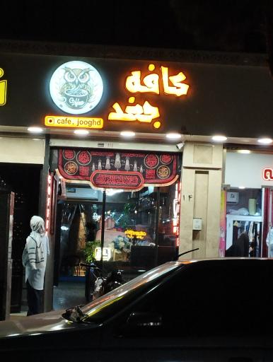 عکس کافه جغد