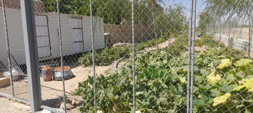 عکس عمارت سنگی خان مراد