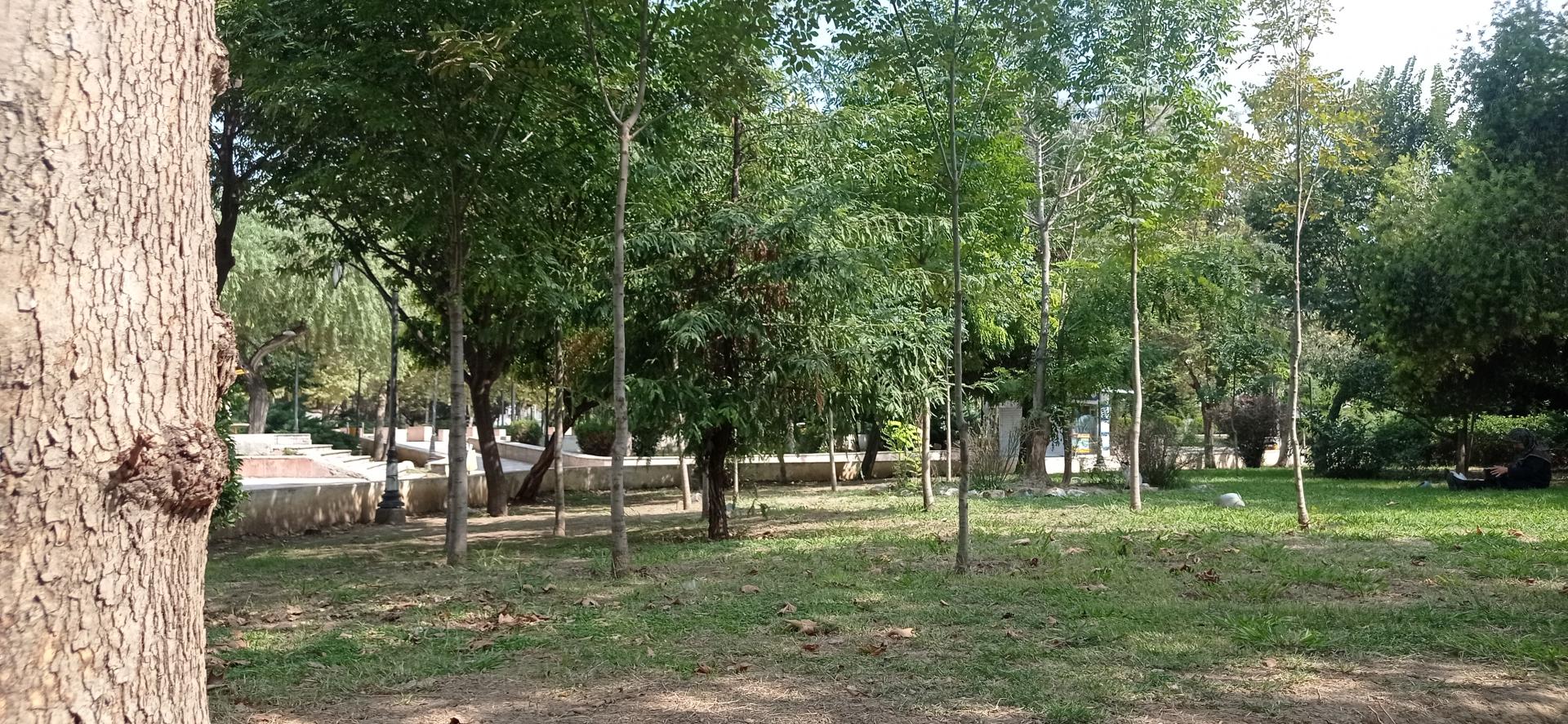 عکس پارک شهبند